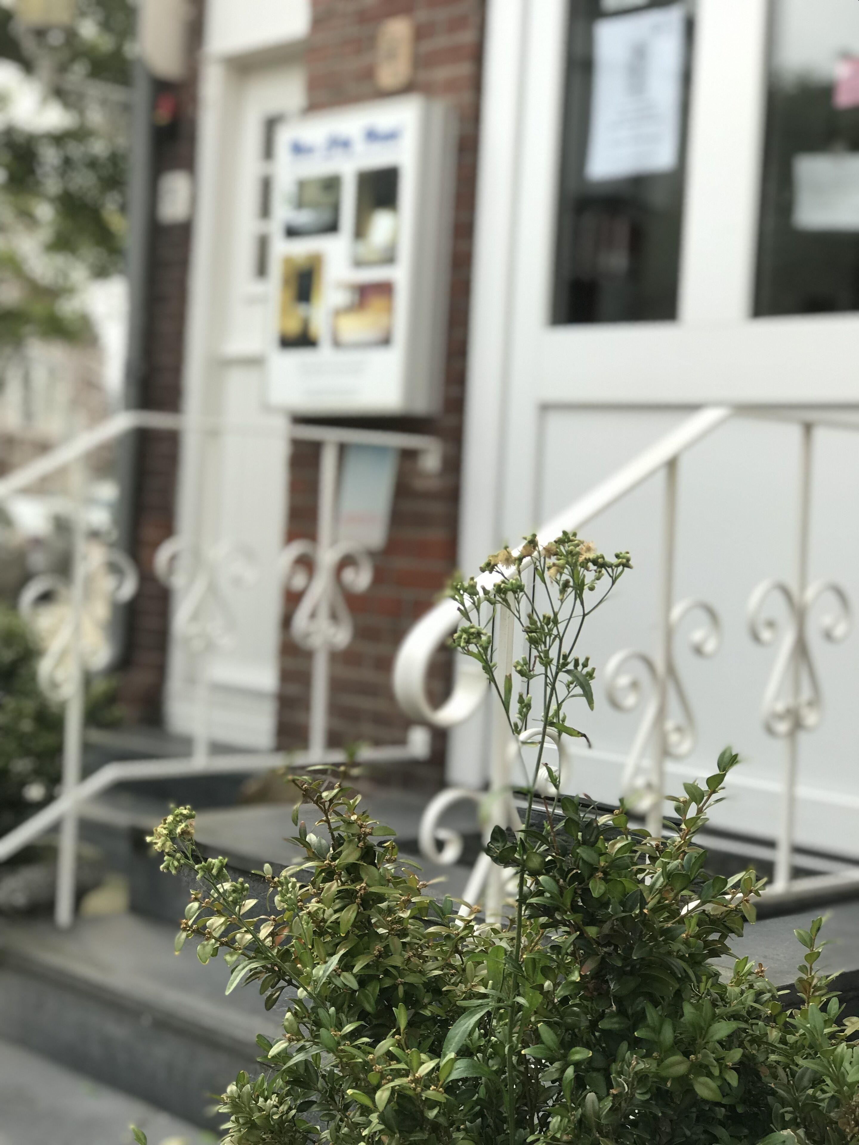 New Scheveningen Den Haag